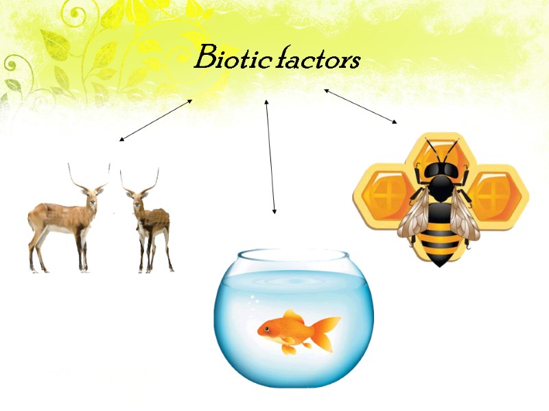 Biotic factors